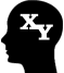 X    Y